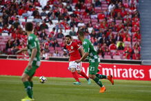 Benfica-Moreirense
