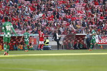 Benfica-Moreirense