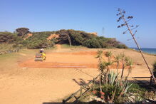 Trabalhos de escavação e terraplanagem estavam a decorrer sem autorização