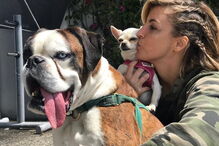 Jessica Athayde sempre demonstrou o amor pelos seus cães