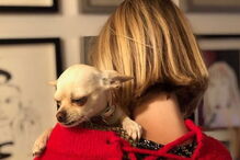 Jessica Athayde sempre demonstrou o amor pelos seus cães