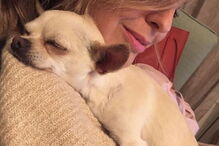 Jessica Athayde sempre demonstrou o amor pelos seus cães