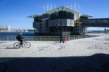 Oceanário de Lisboa, inaugurado durante a Expo’98, recebeu no espaço de 20 anos mais de 23 milhões de visitantes