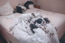 Faz ex-namorado cometer eutanásia depois de o atacar com ácido sulfúrico