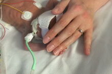 2018-05-23_17_51.43 bebe.jpg