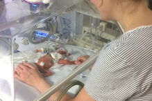 2018-05-23_17_51.43 bebe2.jpg