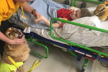 Stephanie Nimmo e Daisy