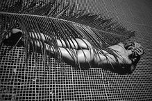 Piloto portuguesa Carina Lima prima pela sensualidade e o gosto pelos carros potentes