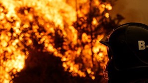 PSP identifica homem por ter ateado incêndio rural em Espinho