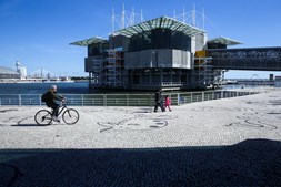 Oceanário de Lisboa, inaugurado durante a Expo’98, recebeu no espaço de 20 anos mais de 23 milhões de visitantes