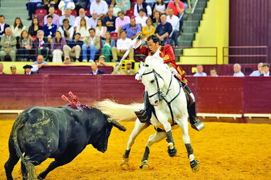 João Moura Caetano triunfou