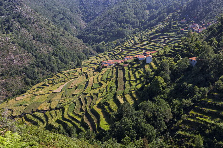 Sistelo é uma aldeia do concelho de Arcos de Valdevez