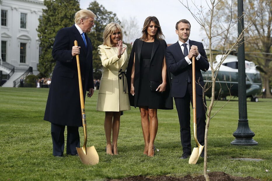 Árvore que Macron ofereceu a Trump já não está no jardim