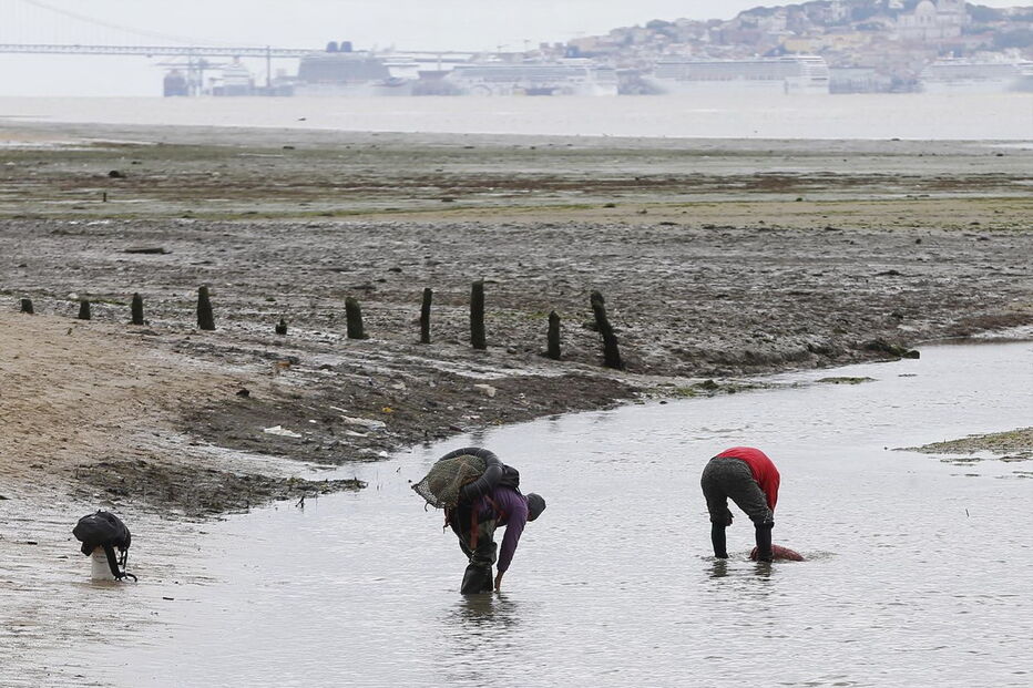 Reportagem do CM testemunhou o regresso a terra de centenas de mariscadores