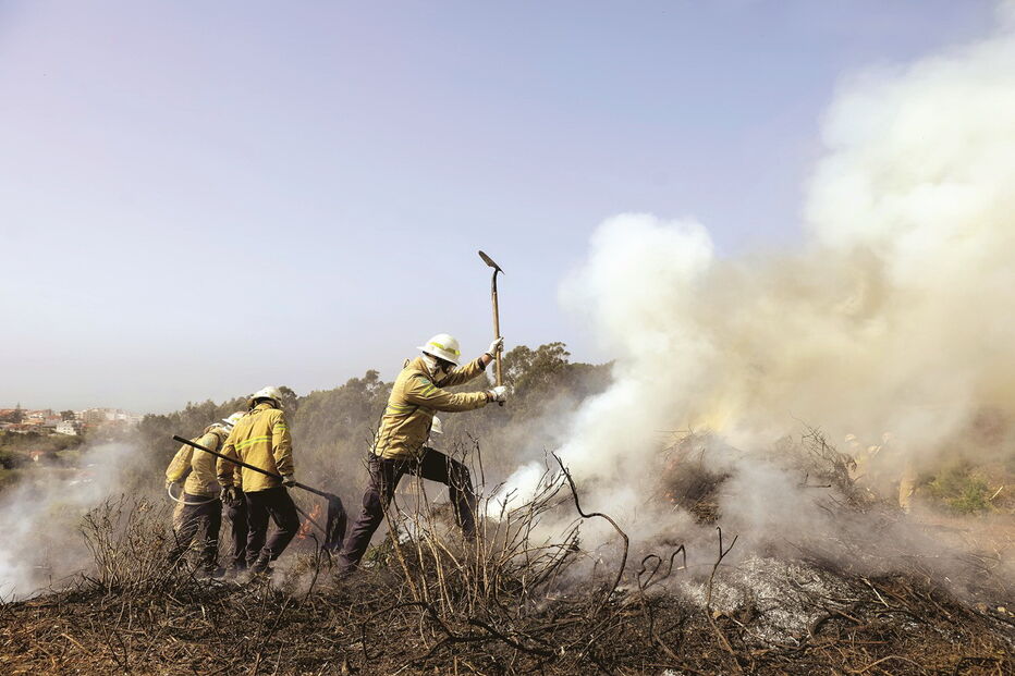 GIPS da GNR foram reforçados com 600 elementos   