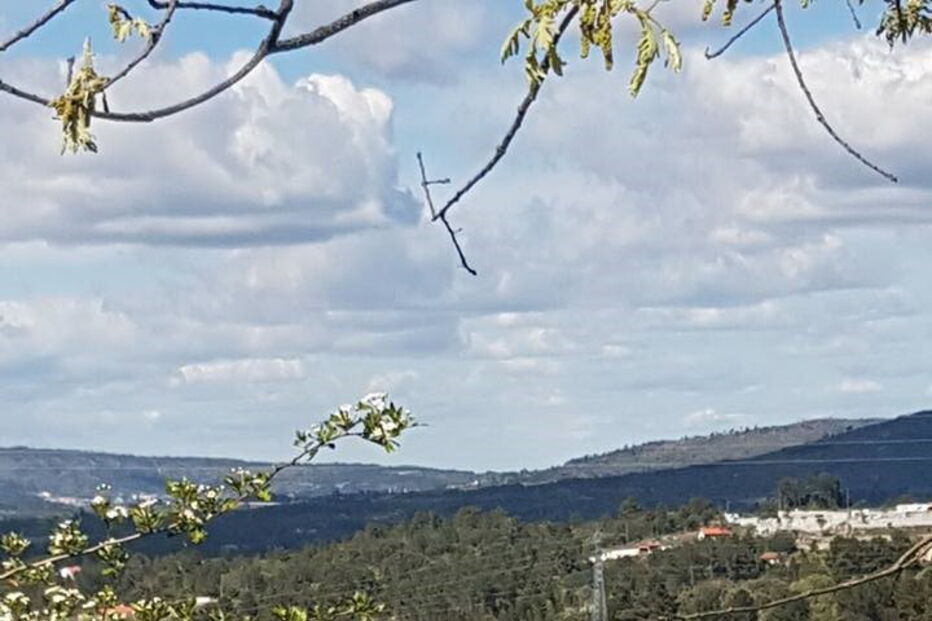Acidente na A25
