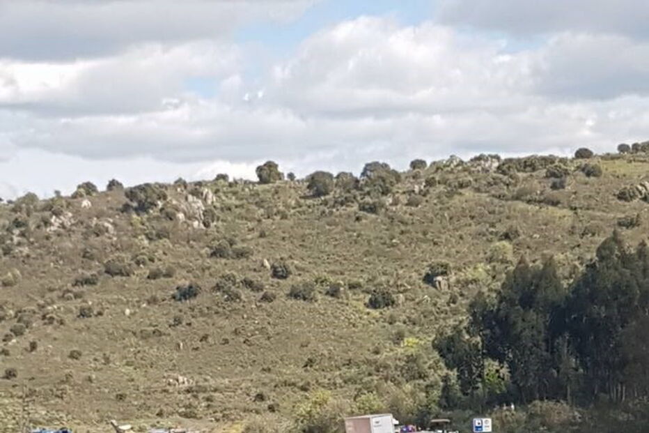 Acidente na A25