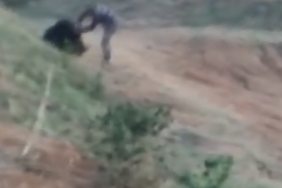 2018-05-04_12_16.50 urso2.png