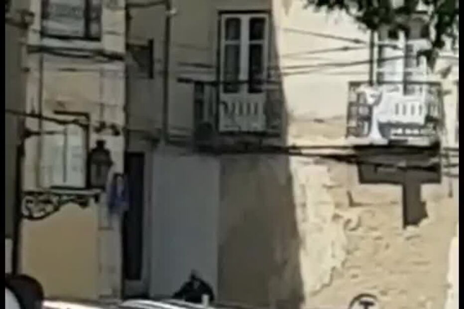 Vídeos mostram confrontos com carteiristas em Lisboa