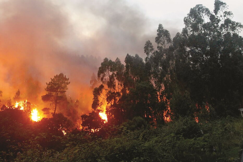 incendio, pedrograo grande, protecao civil, 2017