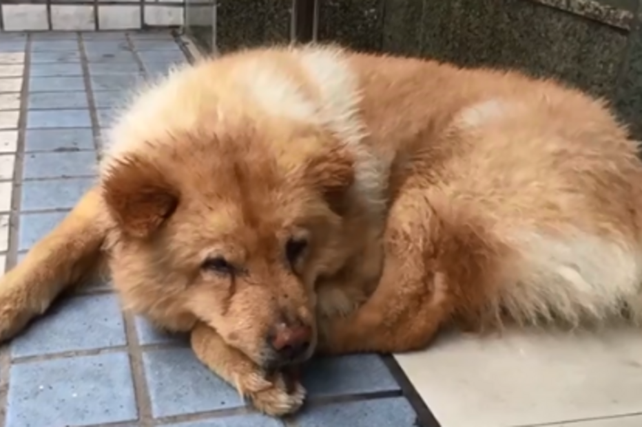 2018-05-05_14_20.20 cao1.png