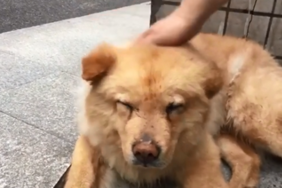 2018-05-05_14_20.20 cao2.png