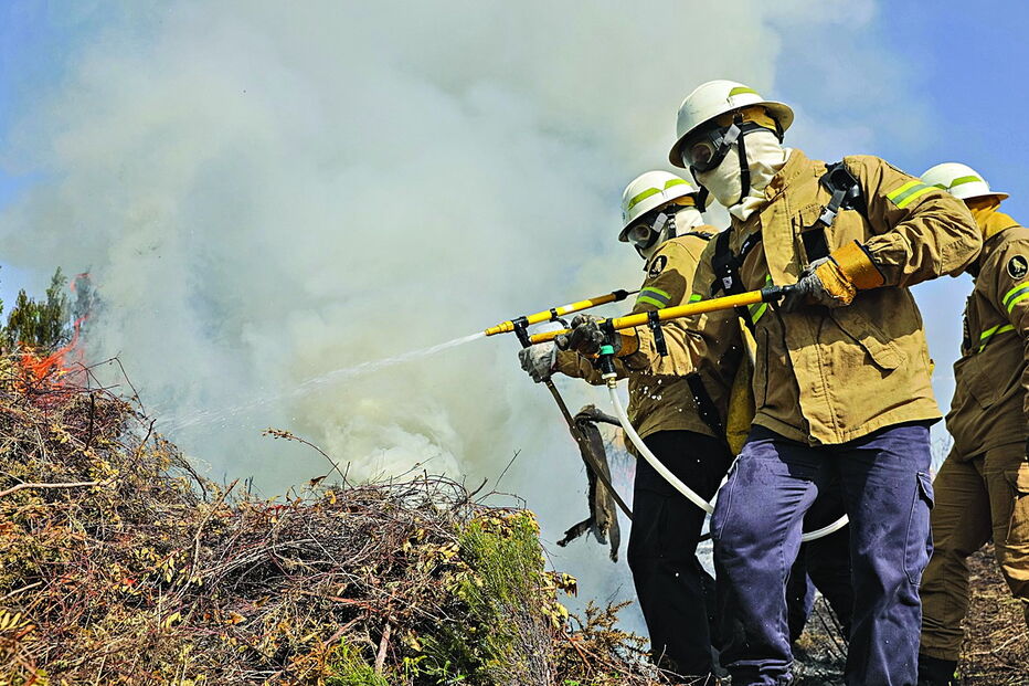 Militares da GIPS, GNR 