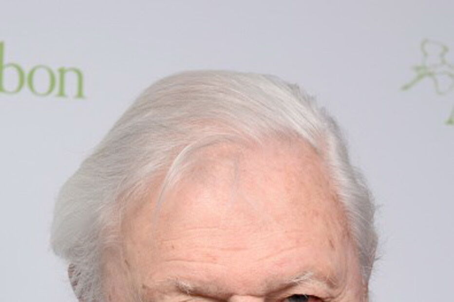 David Attenborough 
