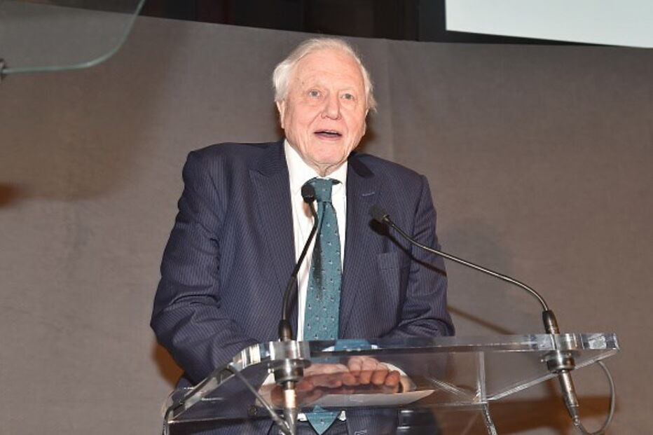 David Attenborough 