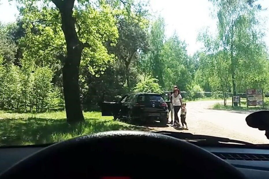 Vídeo mostra família com crianças a ser atacada por chitas em parque natural