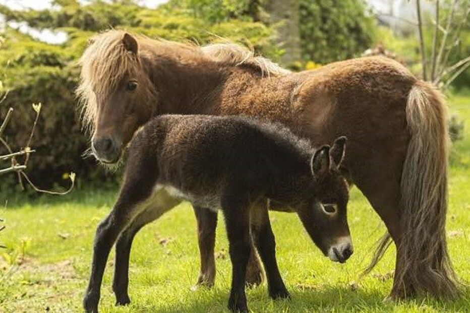 2018-05-12_02_03.11 4C15816100000578-5717925-image-a-63_1526042532119.jpg