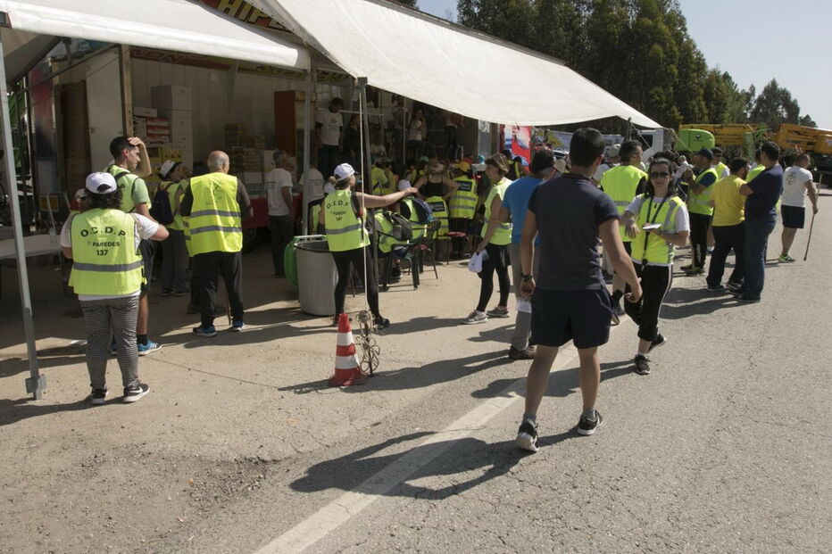Peregrinos a Fátima 