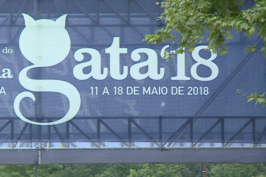 Gatódromo, recinto das festas académicas em Braga