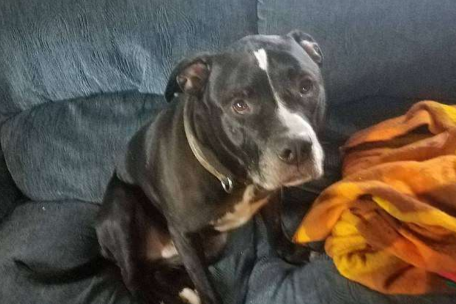 Richard descreveu Balew como 