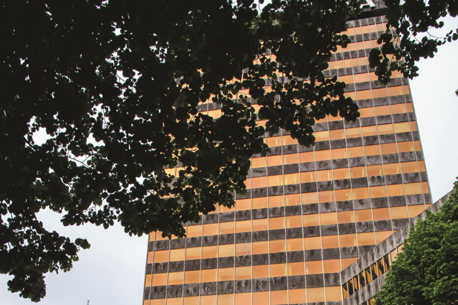 ‘Fosteritos’, Bilbau