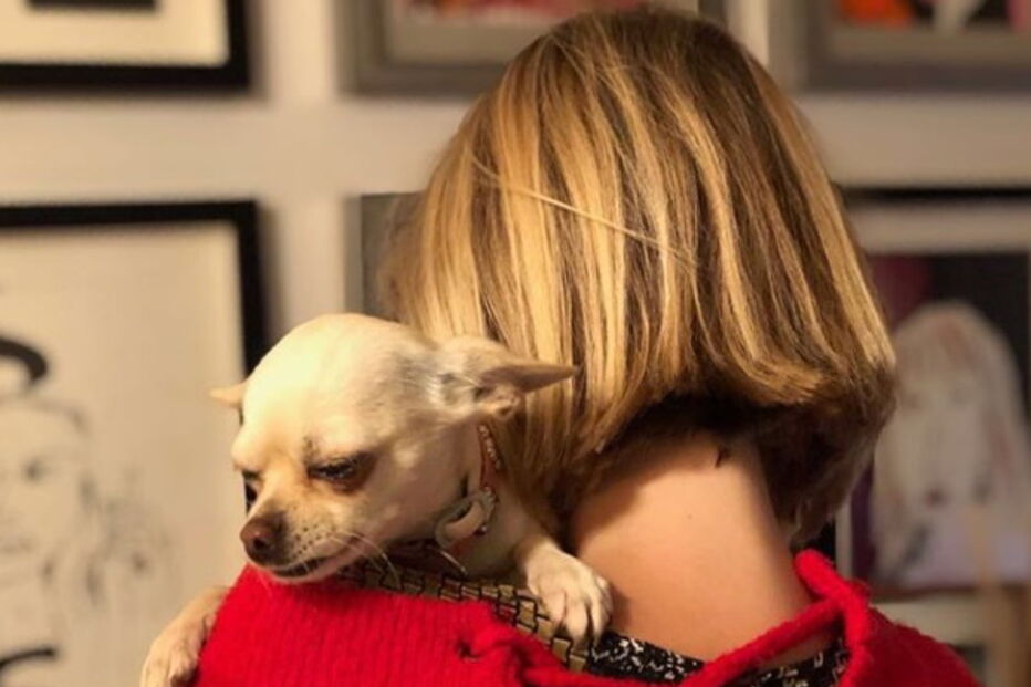 Jessica Athayde sempre demonstrou o amor pelos seus cães