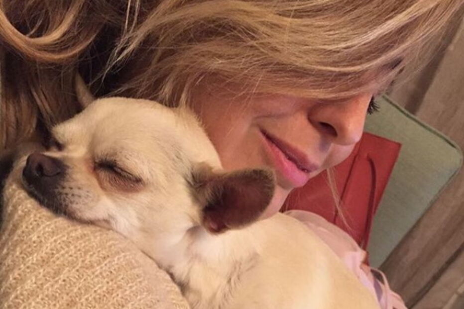 Jessica Athayde sempre demonstrou o amor pelos seus cães