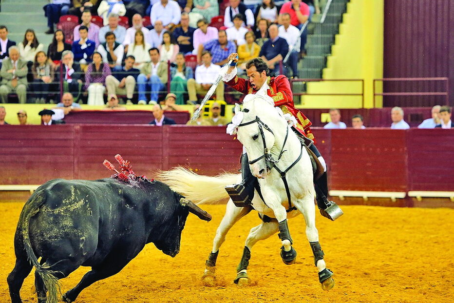 João Moura Caetano triunfou