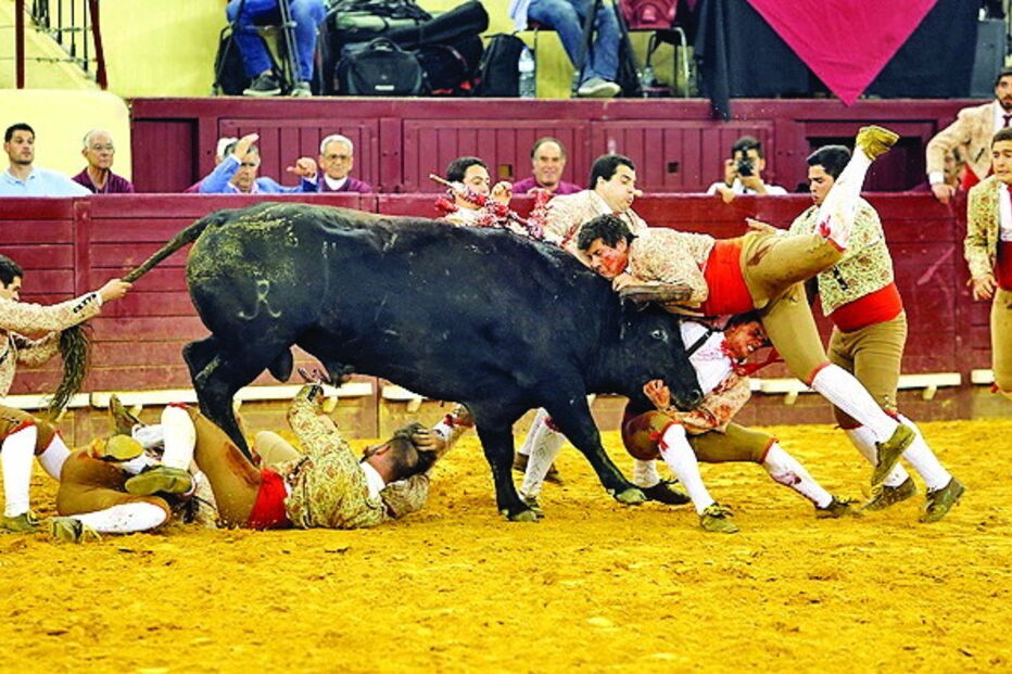 Grupo de forcados amadores de Coruche com três baixas após pegas da noite 
