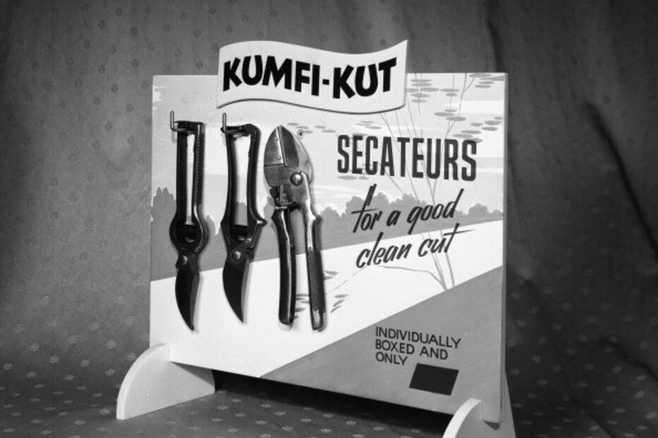 Mulher corta pénis do namorado com tesoura de podar