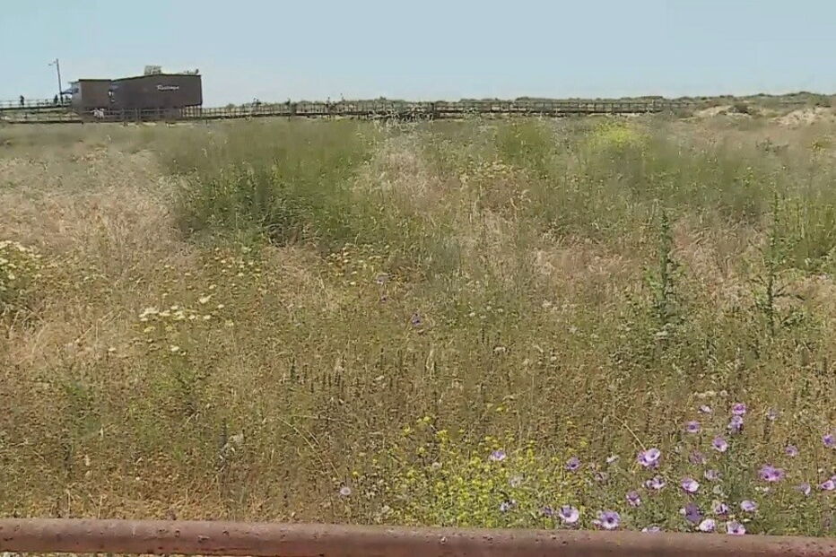 Homem morre em queda de parapente em Alvor