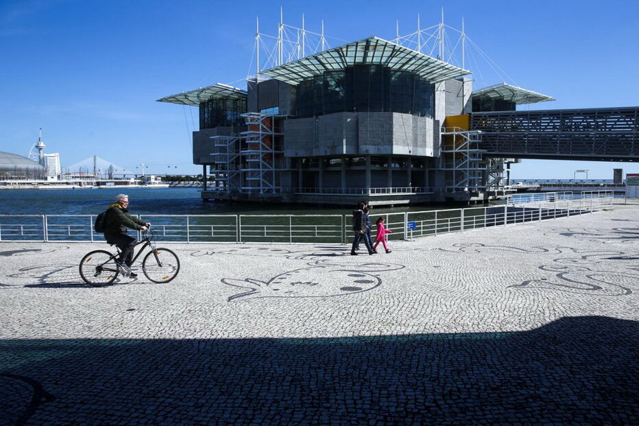 Oceanário de Lisboa, inaugurado durante a Expo’98, recebeu no espaço de 20 anos mais de 23 milhões de visitantes