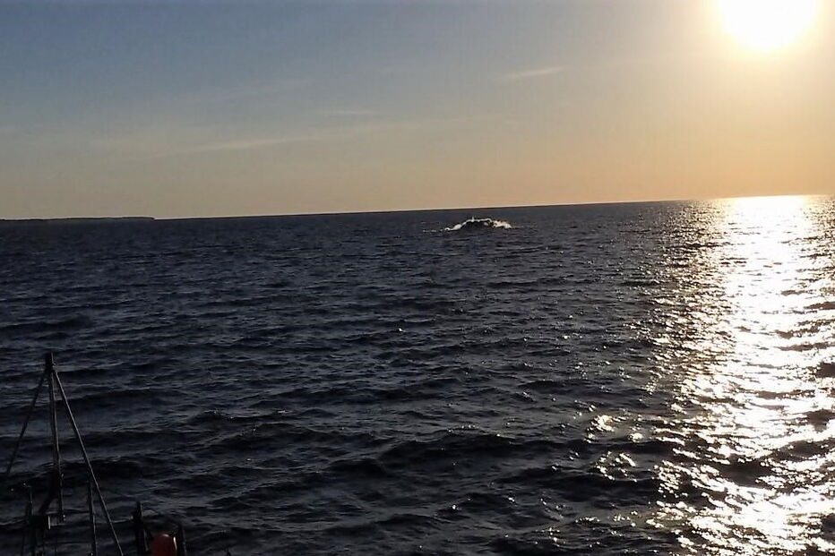 Mergulhadores da Marinha encontraram mina russa e torpedo alemão no mar Báltico