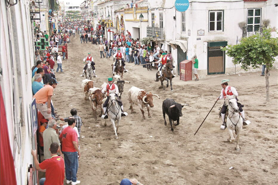 Feira de maio começa no dia 24 na vila ribatejana de Azambuja