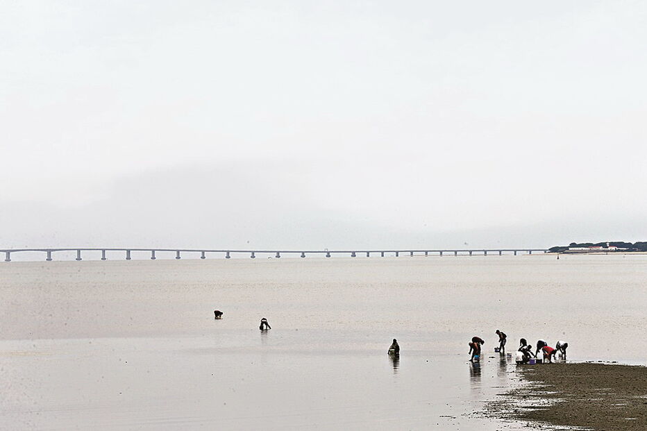 Vítima é um mariscador da Margem Sul do Tejo, que foi sequestrado no Lavradio e deixado em Porto Alto 