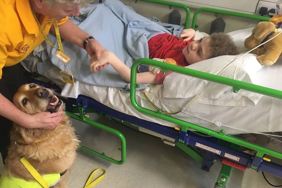 Stephanie Nimmo e Daisy