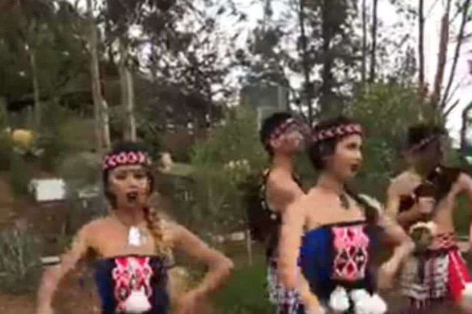 Zoo de San Diego criticado por ‘gaffe’ cultural