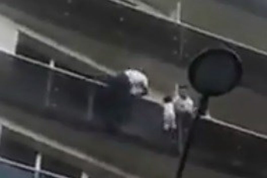Homem salva menino de cair de quarto andar em França	