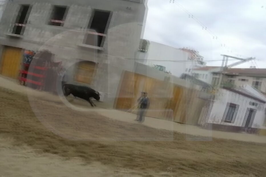 Câmara de Azambuja lamenta morte de idoso em largada de touros