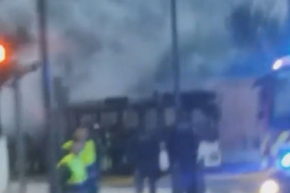 2018-05-29_09_57.13 yr.jpg